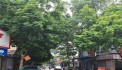 123.4m2 3 mặt tiền phố kinh doanh sầm uất rộng 17m  tại Trâu Quỳ, Gia Lâm.